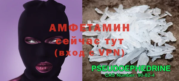 ГАЛЛЮЦИНОГЕННЫЕ ГРИБЫ Белокуриха