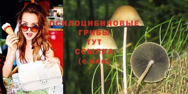 Альфа ПВП Беломорск