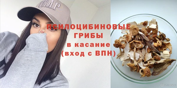 ГАЛЛЮЦИНОГЕННЫЕ ГРИБЫ Белокуриха
